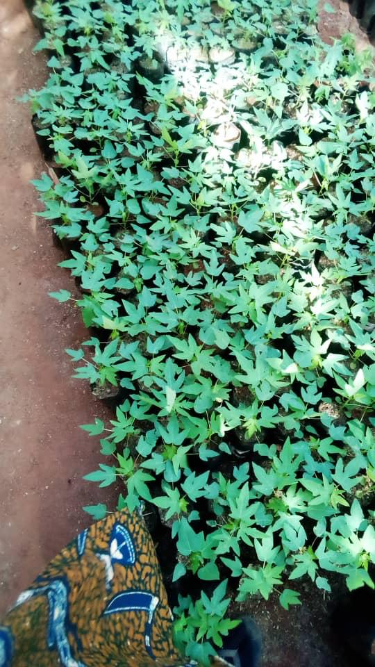 WhatsApp Image 2025-06-23 at 19.19.07_a50c1ae3