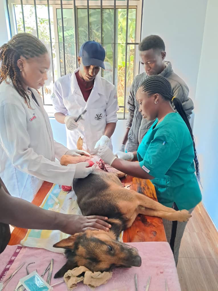 WhatsApp Image 2025-06-28 at 11.26.00_6361e1b8