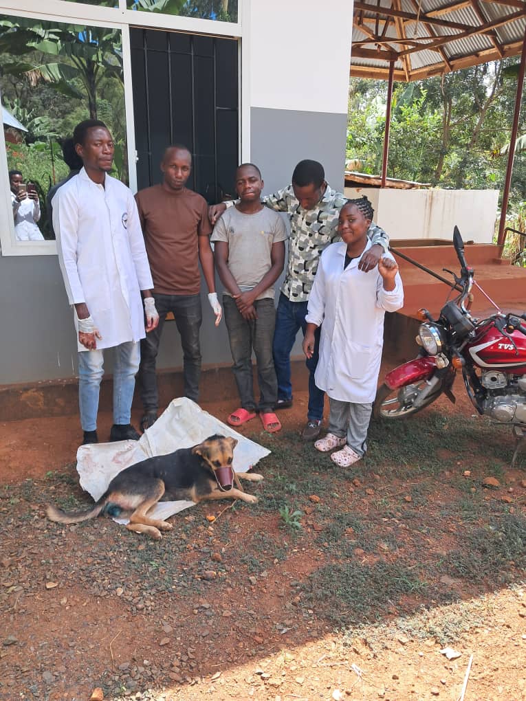 WhatsApp Image 2025-06-28 at 11.26.01_78331dcd