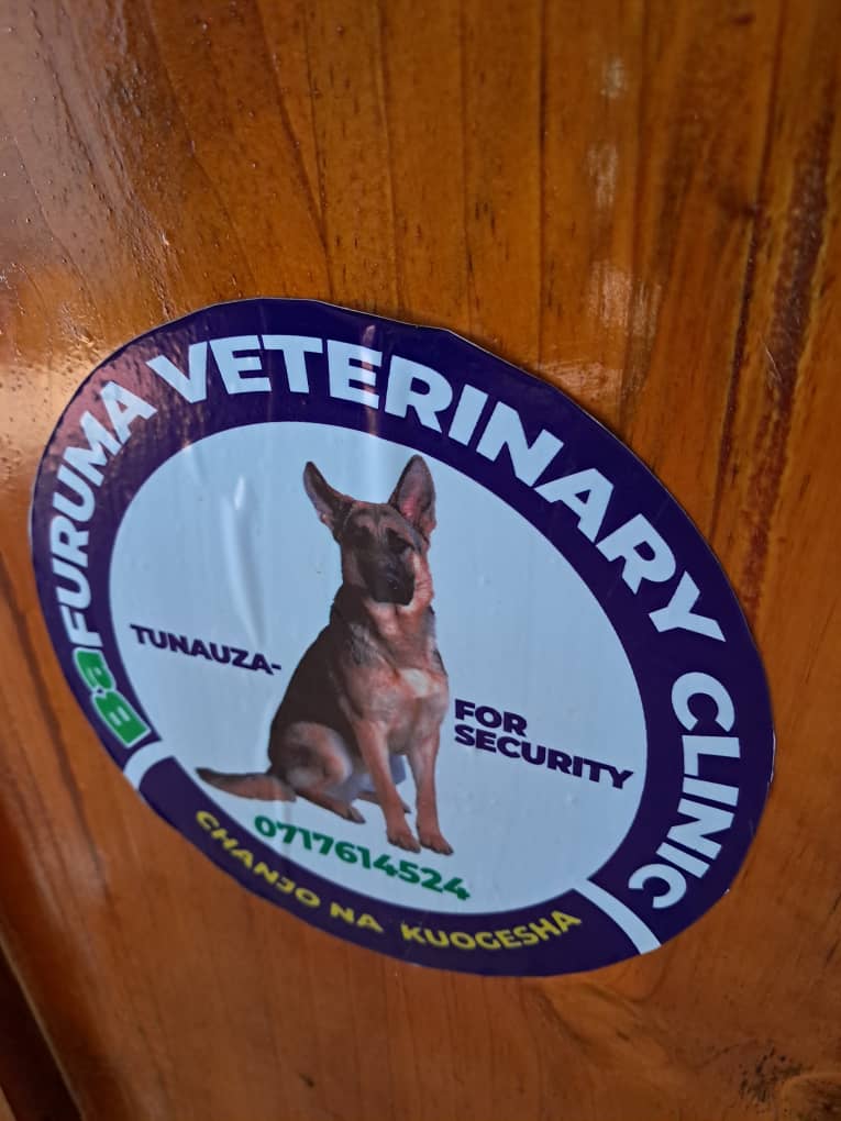 WhatsApp Image 2025-06-28 at 11.27.29_6beb75e9