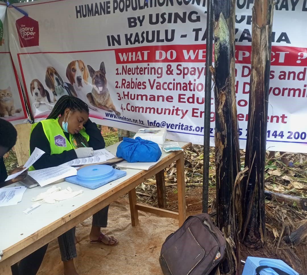 WhatsApp Image 2025-06-28 at 11.32.03_c1bf0db6