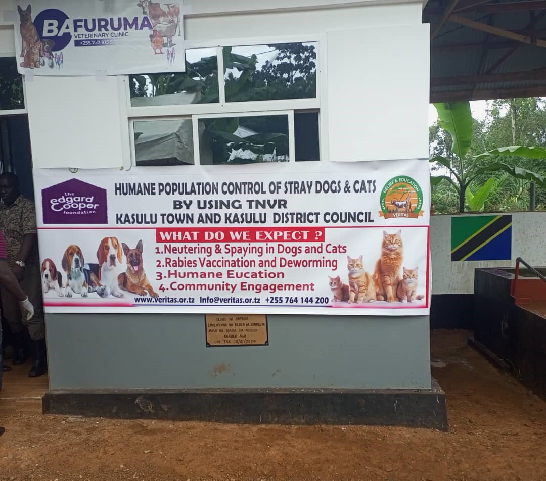 WhatsApp Image 2025-06-28 at 11.35.00_2cb4d8a6