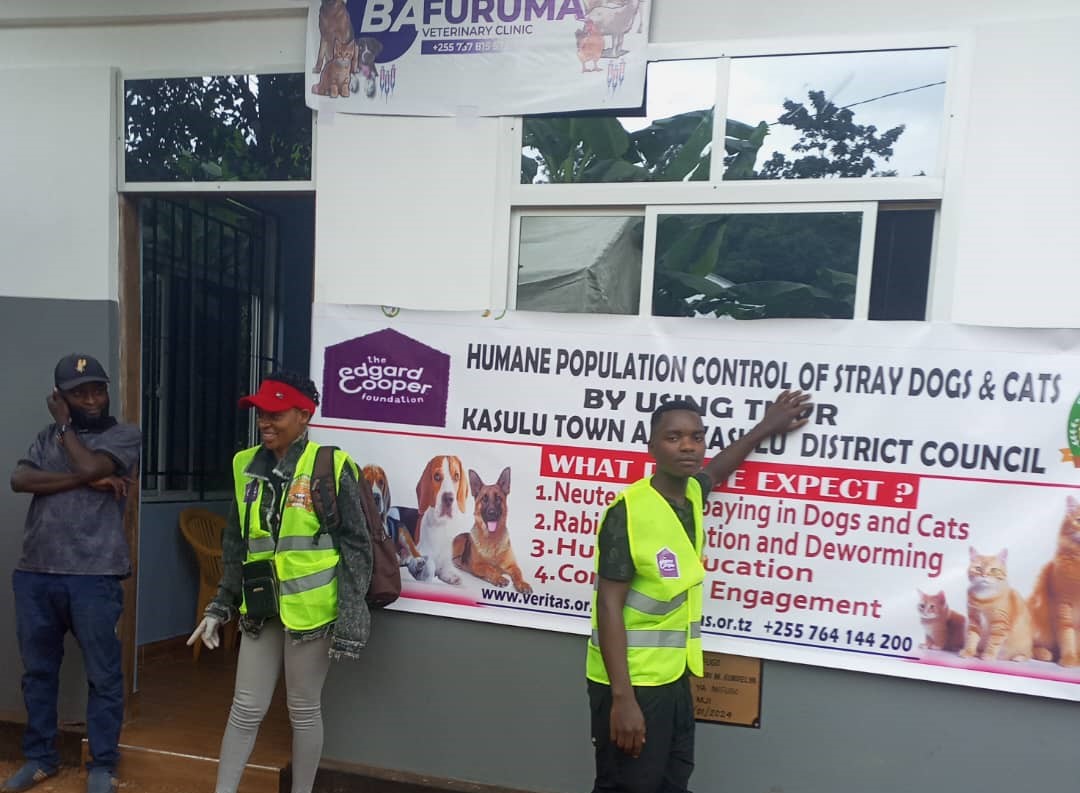 WhatsApp Image 2025-06-28 at 11.35.01_44cc7405