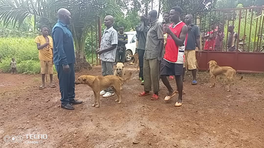 WhatsApp Image 2025-06-28 at 11.35.01_ac5d2677