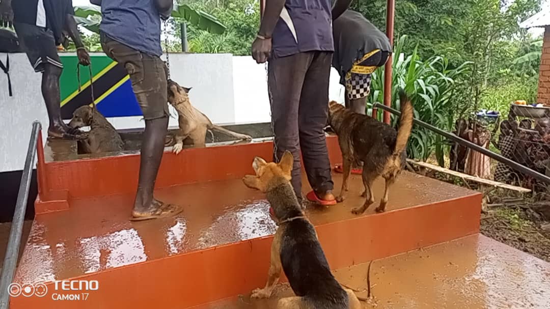 WhatsApp Image 2025-06-28 at 11.35.02_5b1b5ef2