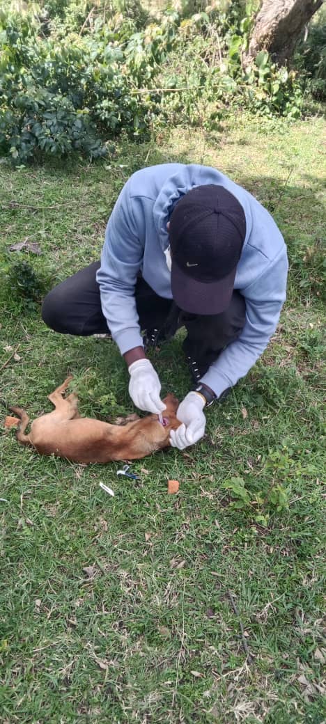 WhatsApp Image 2025-06-28 at 11.36.40_f803483b