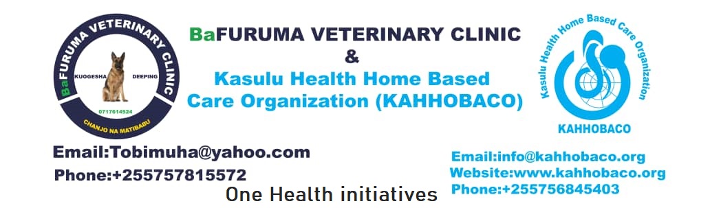 Bafuruma Head one health