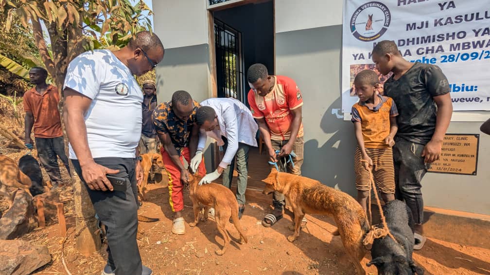 WhatsApp Image 2025-09-29 at 13.07.28_b6a3d852