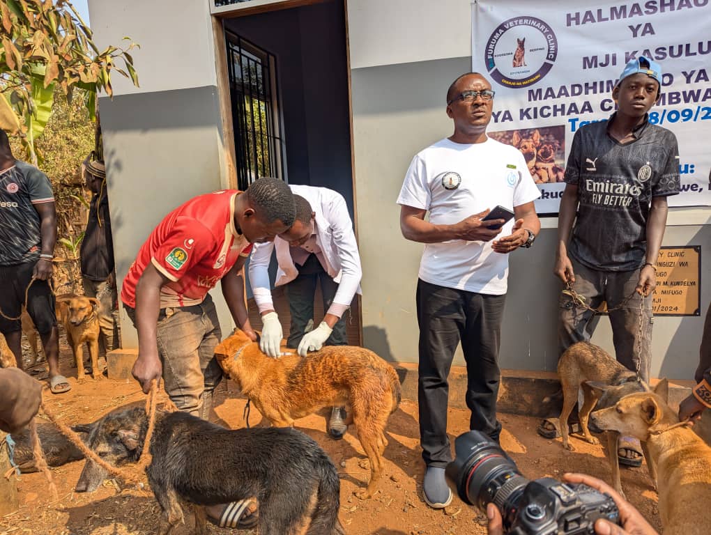 WhatsApp Image 2025-09-29 at 13.07.30_310c0374