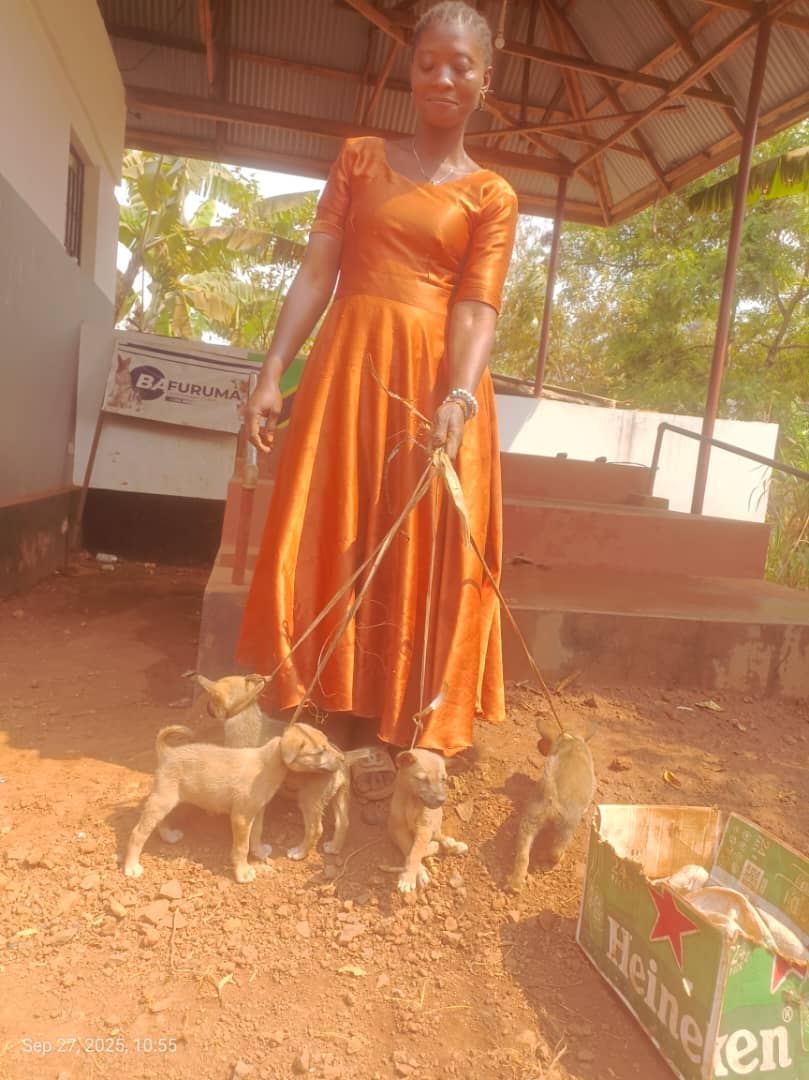 WhatsApp Image 2025-09-29 at 14.42.41_b5860280