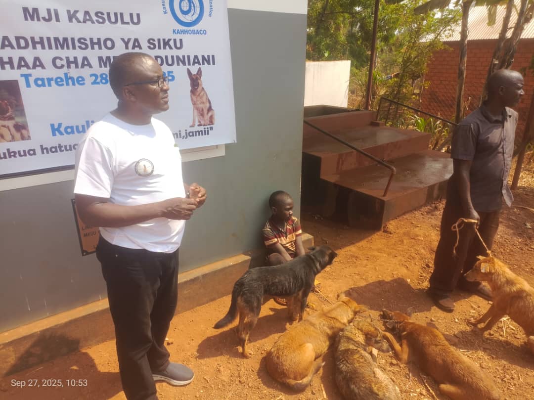 WhatsApp Image 2025-09-29 at 14.42.47_265a6ad2