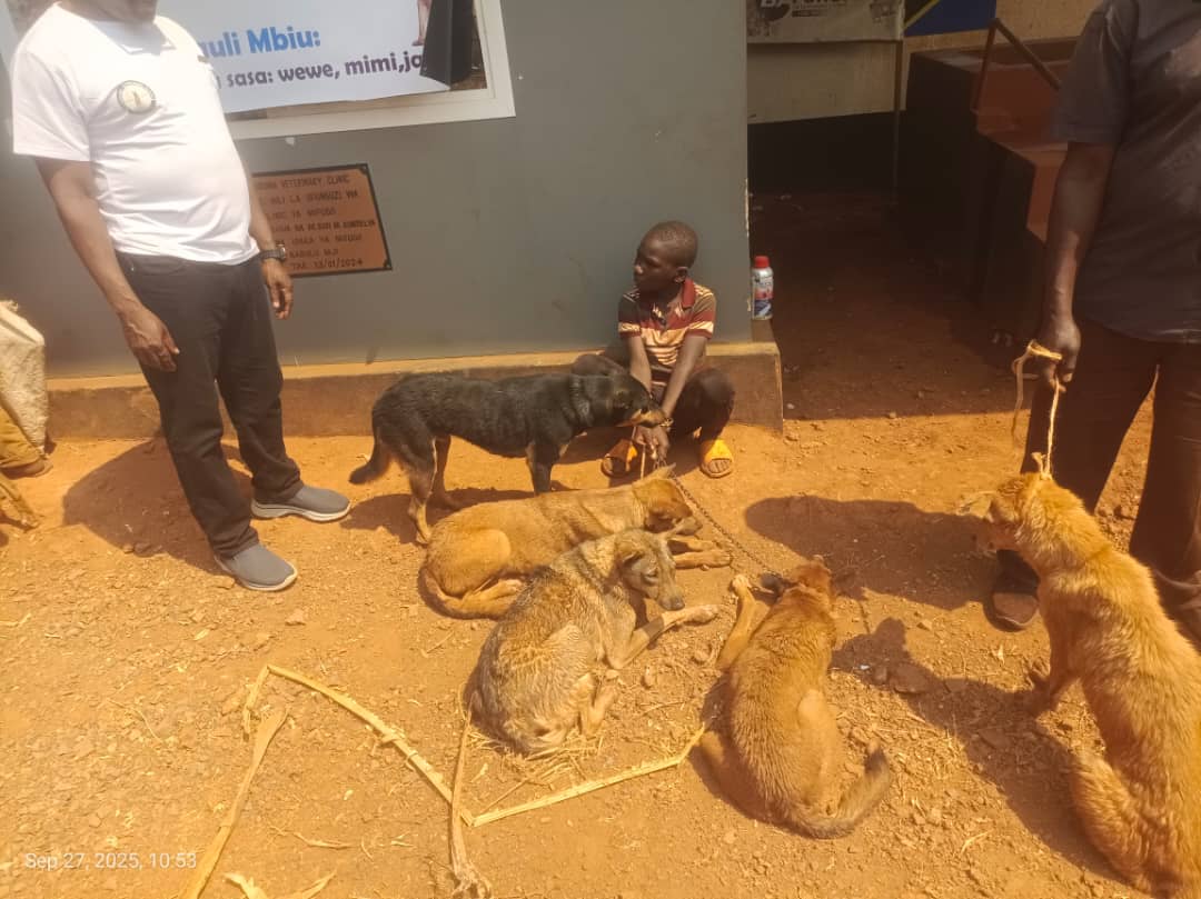 WhatsApp Image 2025-09-29 at 14.42.59_f741cd3a