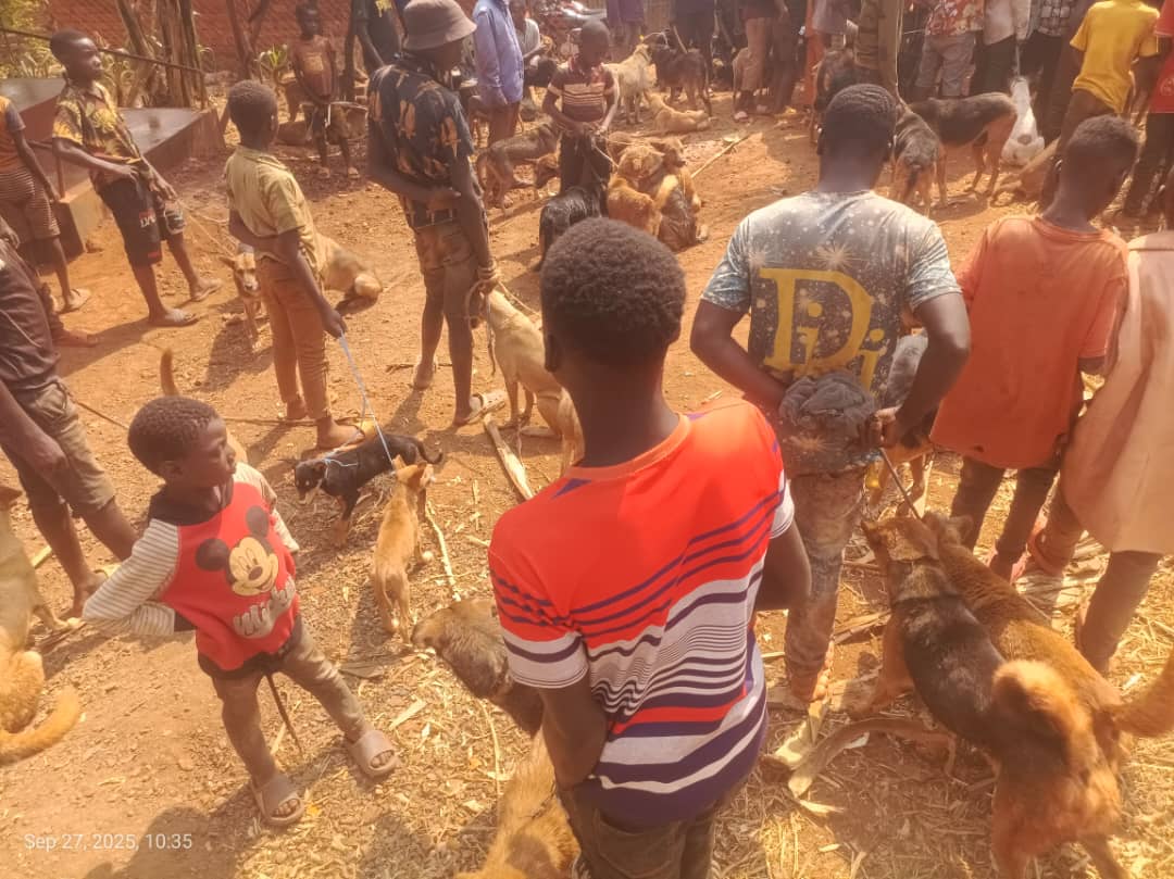 WhatsApp Image 2025-09-29 at 14.43.00_7b381a97