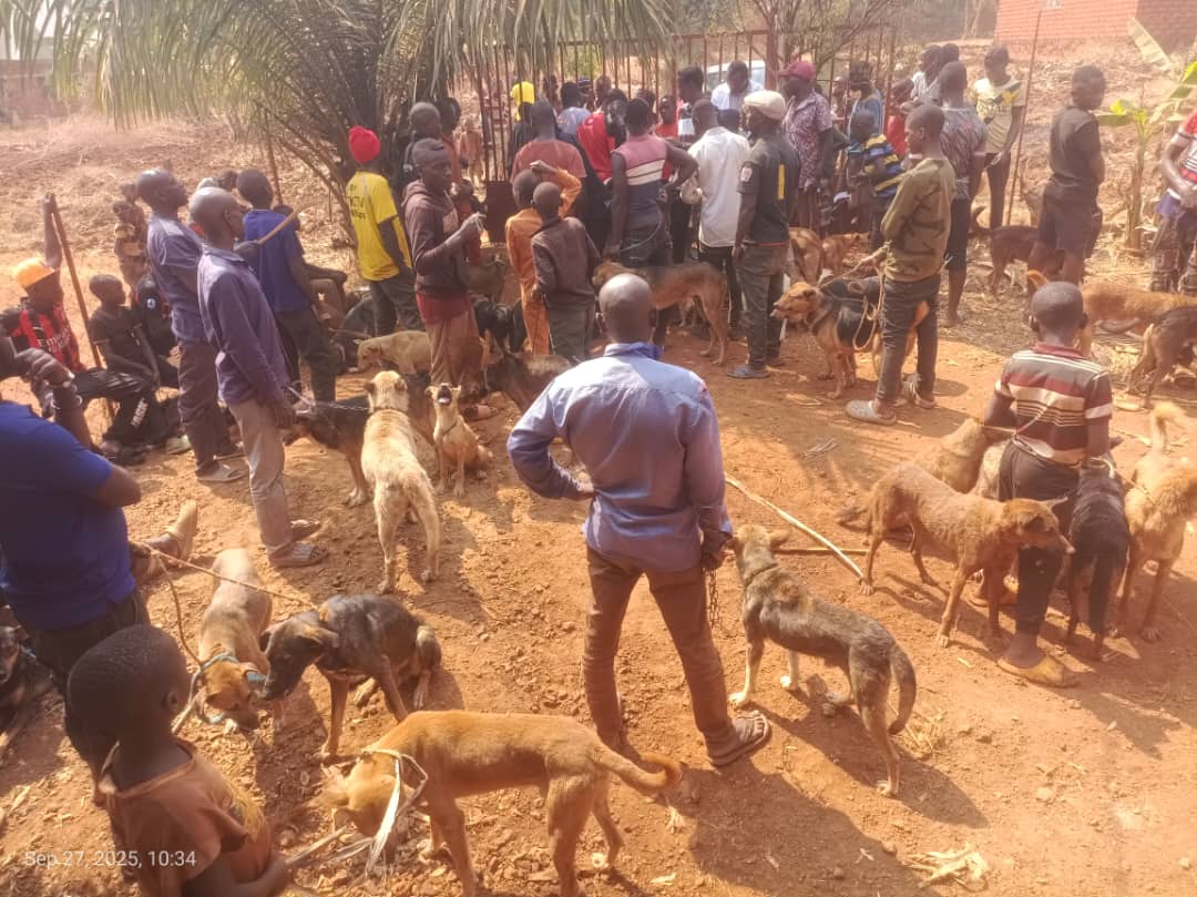 WhatsApp Image 2025-09-29 at 14.43.01_0b5d4ba8