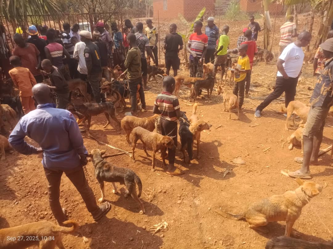 WhatsApp Image 2025-09-29 at 14.43.01_61d99f5e