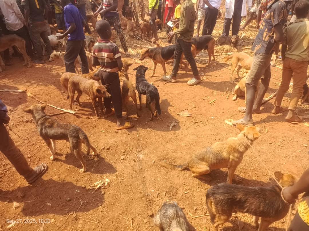 WhatsApp Image 2025-09-29 at 14.43.02_bb2c8c9d