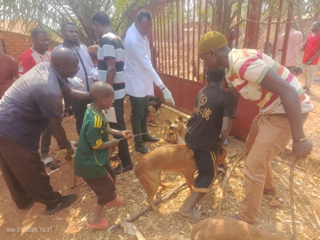 WhatsApp Image 2025-09-29 at 14.43.04_eadb6efc