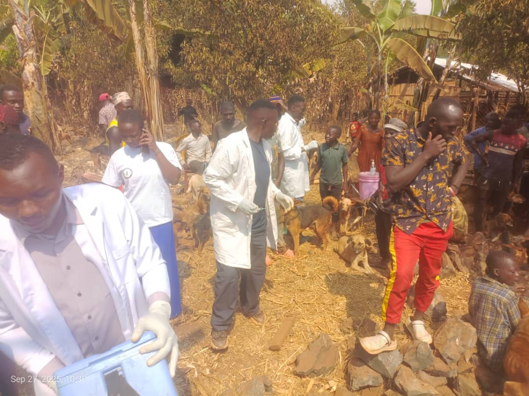 WhatsApp Image 2025-09-29 at 14.43.05_2ae8f489