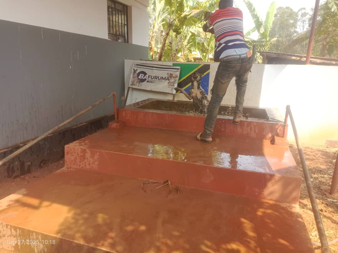 WhatsApp Image 2025-09-29 at 14.43.06_7fa4cba8